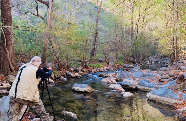 Tamaulipas, sede del Primer Congreso Internacional de Fotografía de Naturaleza